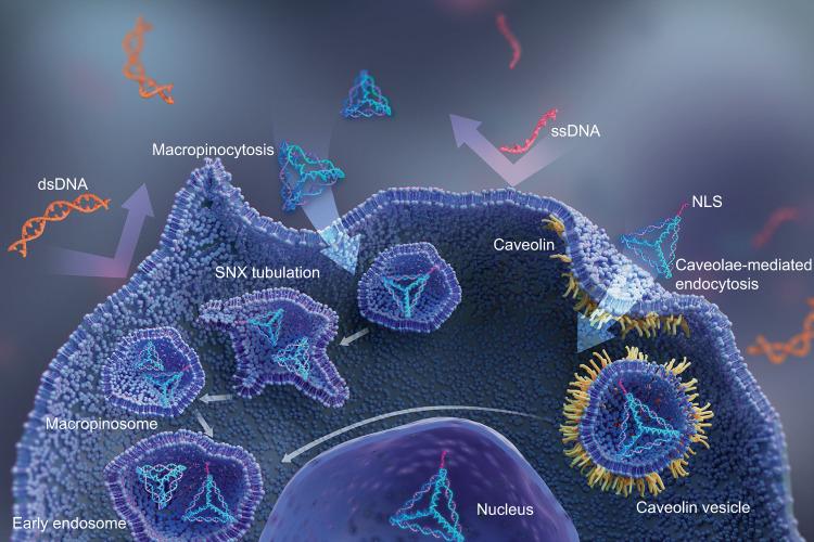 https://cdn.ncbi.nlm.nih.gov/pmc/blobs/1686/9622686/3ff4b1103793/41368_2022_199_Fig1_HTML.jpg