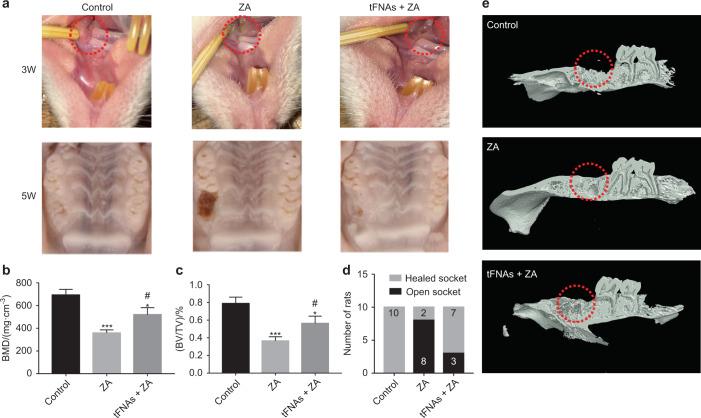 https://cdn.ncbi.nlm.nih.gov/pmc/blobs/1686/9622686/574de78303a2/41368_2022_199_Fig4_HTML.jpg