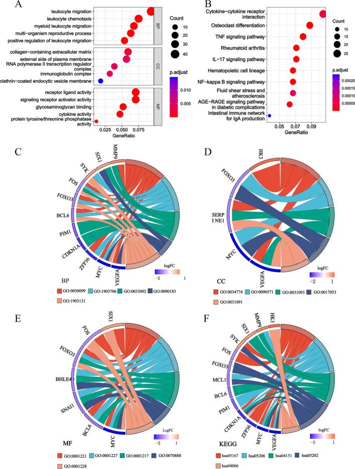 https://cdn.ncbi.nlm.nih.gov/pmc/blobs/1687/11686076/92861f67490c/41598_2024_83268_Fig4_HTML.jpg