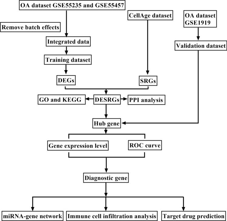https://cdn.ncbi.nlm.nih.gov/pmc/blobs/1687/11686076/b5a9b3425882/41598_2024_83268_Fig1_HTML.jpg