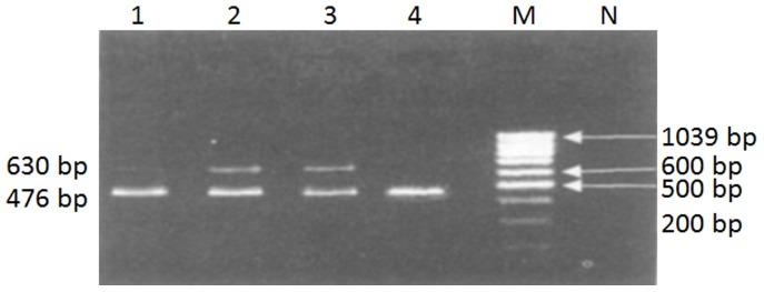 https://cdn.ncbi.nlm.nih.gov/pmc/blobs/1688/4281208/b9f885ec6236/pone.0116239.g002.jpg