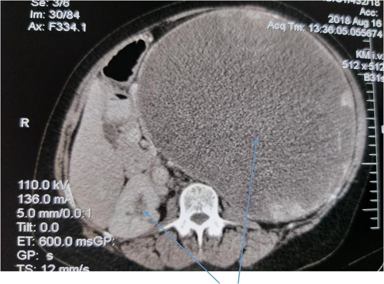 https://cdn.ncbi.nlm.nih.gov/pmc/blobs/168c/7672251/970b6ca31735/gr9.jpg
