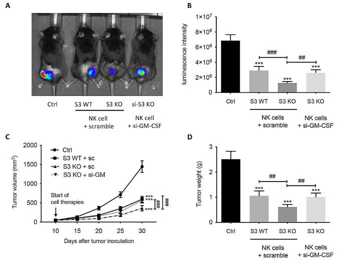 https://cdn.ncbi.nlm.nih.gov/pmc/blobs/168d/11335298/098886dd404c/18_2024_5290_Fig2_HTML.jpg