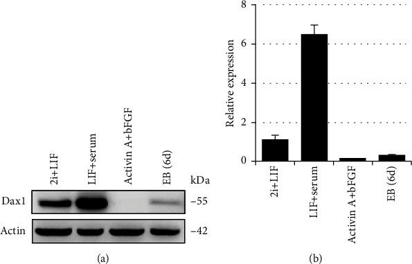 https://cdn.ncbi.nlm.nih.gov/pmc/blobs/168e/8286181/c9fbd8b59fcf/SCI2021-5522723.001.jpg