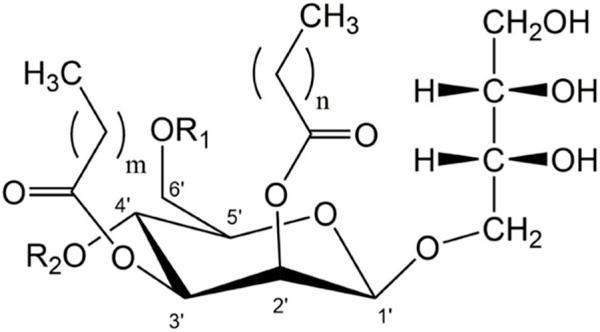 https://cdn.ncbi.nlm.nih.gov/pmc/blobs/1690/10920258/88ded83ed54c/fbioe-12-1347452-g001.jpg