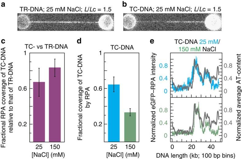 https://cdn.ncbi.nlm.nih.gov/pmc/blobs/1691/4897764/42bd3519ebda/ncomms11810-f4.jpg
