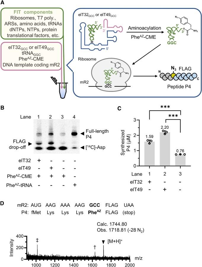 https://cdn.ncbi.nlm.nih.gov/pmc/blobs/1692/11039980/53cf38ec8edb/gkae151fig4.jpg