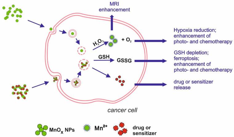 https://cdn.ncbi.nlm.nih.gov/pmc/blobs/1692/8145730/74a5c18edc42/nanomaterials-11-01084-g002.jpg