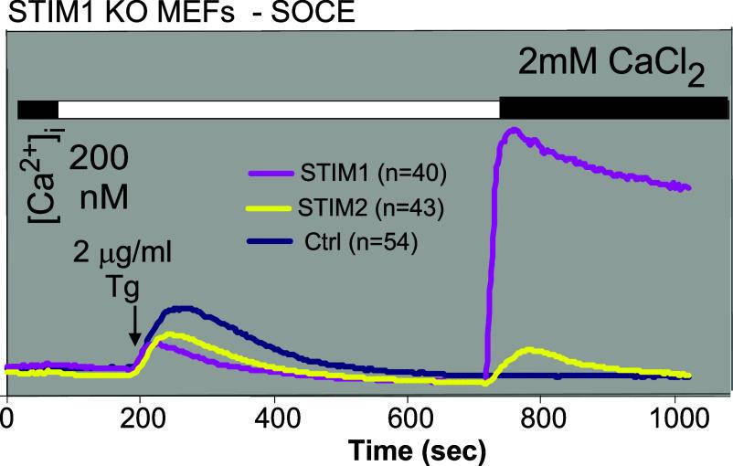 https://cdn.ncbi.nlm.nih.gov/pmc/blobs/1694/11626178/242e5ce22dc4/pnas.2411389121fig08.jpg