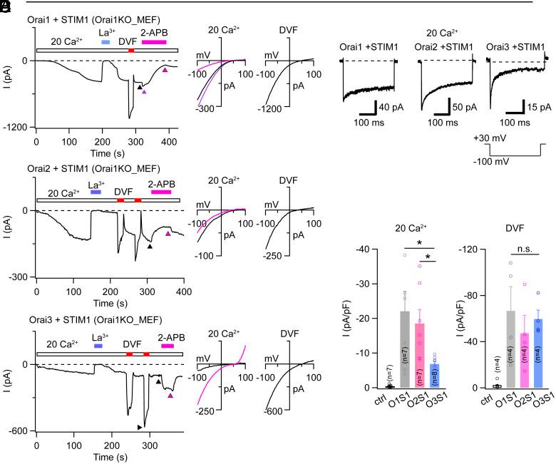 https://cdn.ncbi.nlm.nih.gov/pmc/blobs/1694/11626178/97a8631fff84/pnas.2411389121fig05.jpg