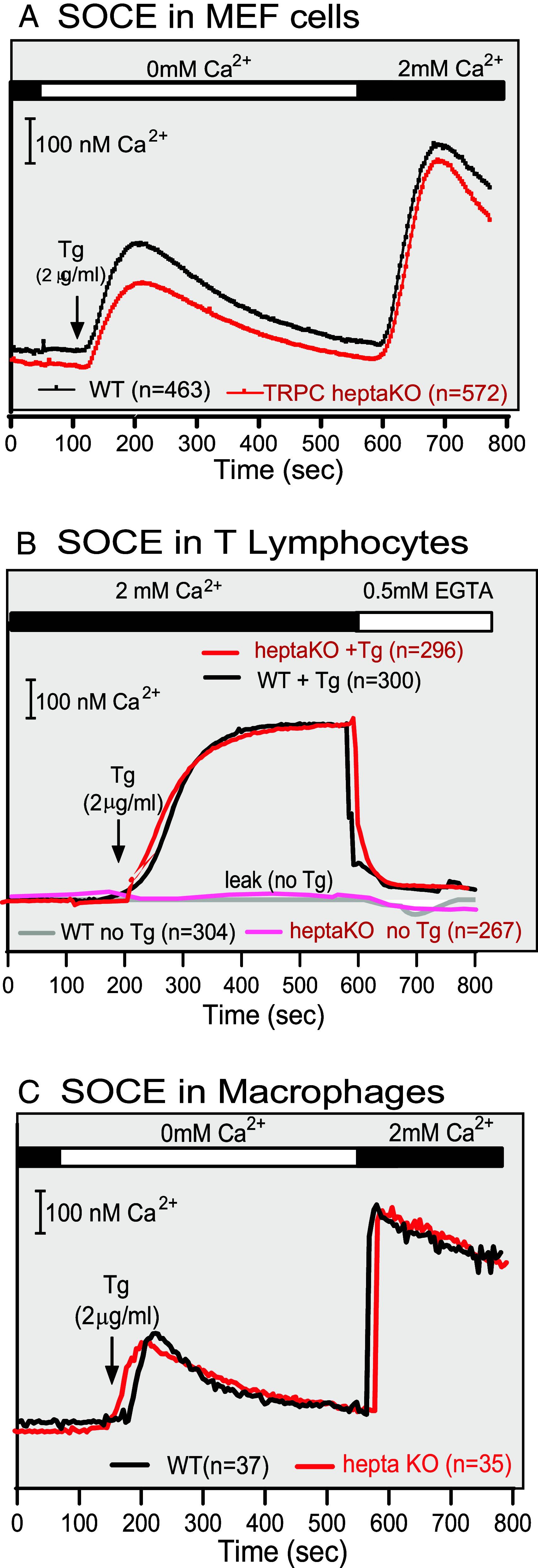 https://cdn.ncbi.nlm.nih.gov/pmc/blobs/1694/11626178/9f4979806b3e/pnas.2411389121fig10.jpg