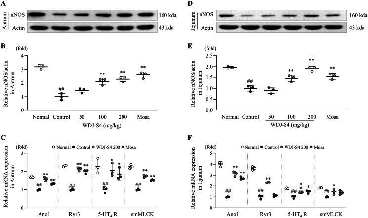 https://cdn.ncbi.nlm.nih.gov/pmc/blobs/1694/11986872/149b98669bde/IPHB_A_2488134_F0006_B.jpg