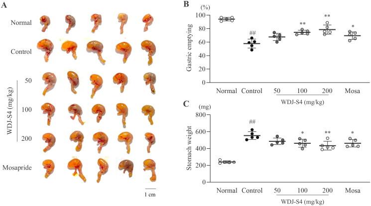 https://cdn.ncbi.nlm.nih.gov/pmc/blobs/1694/11986872/4a251fef9006/IPHB_A_2488134_F0002_C.jpg