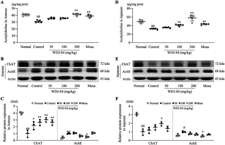 https://cdn.ncbi.nlm.nih.gov/pmc/blobs/1694/11986872/6a583a88a833/IPHB_A_2488134_F0004_B.jpg