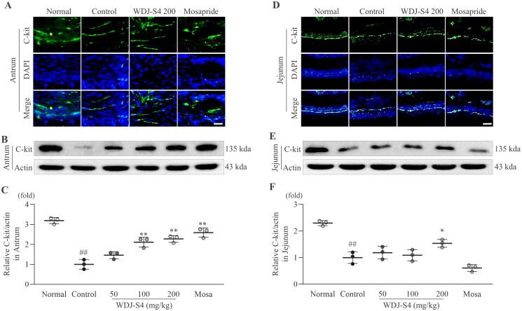 https://cdn.ncbi.nlm.nih.gov/pmc/blobs/1694/11986872/9ecd69d515f2/IPHB_A_2488134_F0005_C.jpg