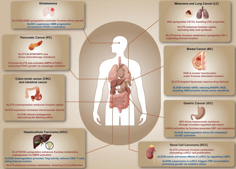 https://cdn.ncbi.nlm.nih.gov/pmc/blobs/1694/12163614/1ceb35d59e71/ijmsv22p2852g002.jpg