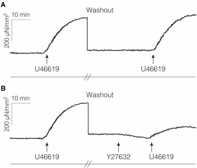 https://cdn.ncbi.nlm.nih.gov/pmc/blobs/1694/6455047/f8115394ba46/fphys-10-00336-g006.jpg