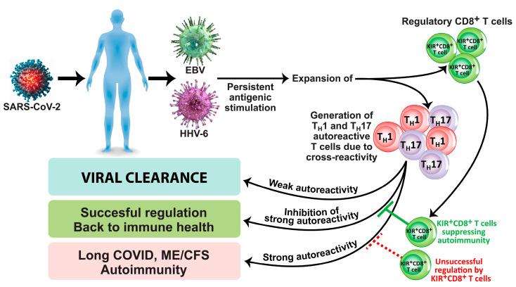 https://cdn.ncbi.nlm.nih.gov/pmc/blobs/1699/10818828/2712e3c2de38/microorganisms-12-00230-g001.jpg