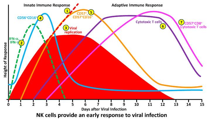 https://cdn.ncbi.nlm.nih.gov/pmc/blobs/1699/10818828/2a6ec79dbb32/microorganisms-12-00230-g003.jpg