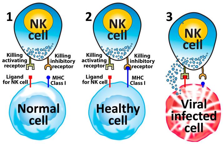 https://cdn.ncbi.nlm.nih.gov/pmc/blobs/1699/10818828/f7ca8f1b1cb8/microorganisms-12-00230-g006.jpg