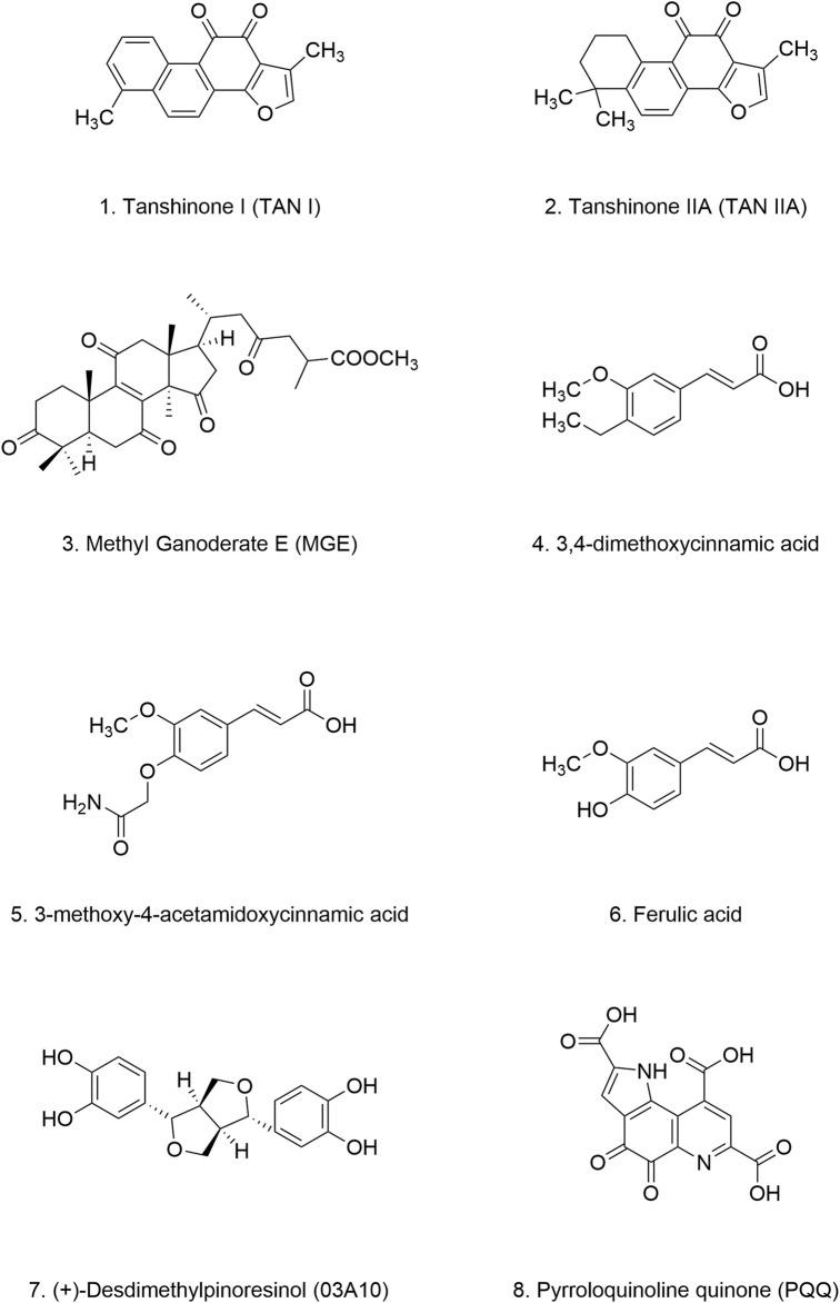 https://cdn.ncbi.nlm.nih.gov/pmc/blobs/1699/11537895/53bd7fe997a9/fphar-15-1468850-g007.jpg