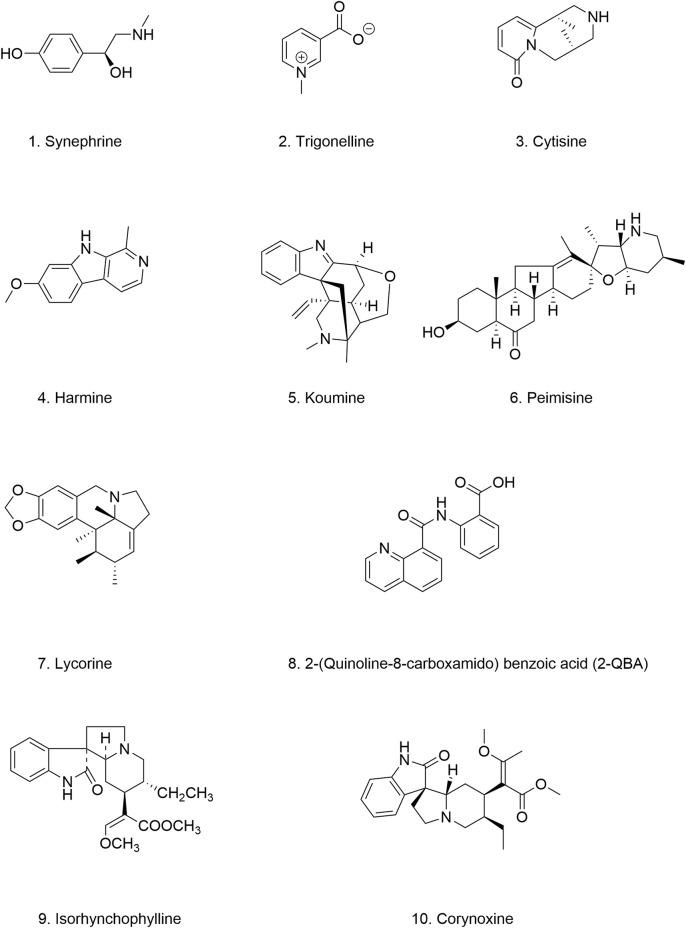 https://cdn.ncbi.nlm.nih.gov/pmc/blobs/1699/11537895/95e7b74c543c/fphar-15-1468850-g008.jpg
