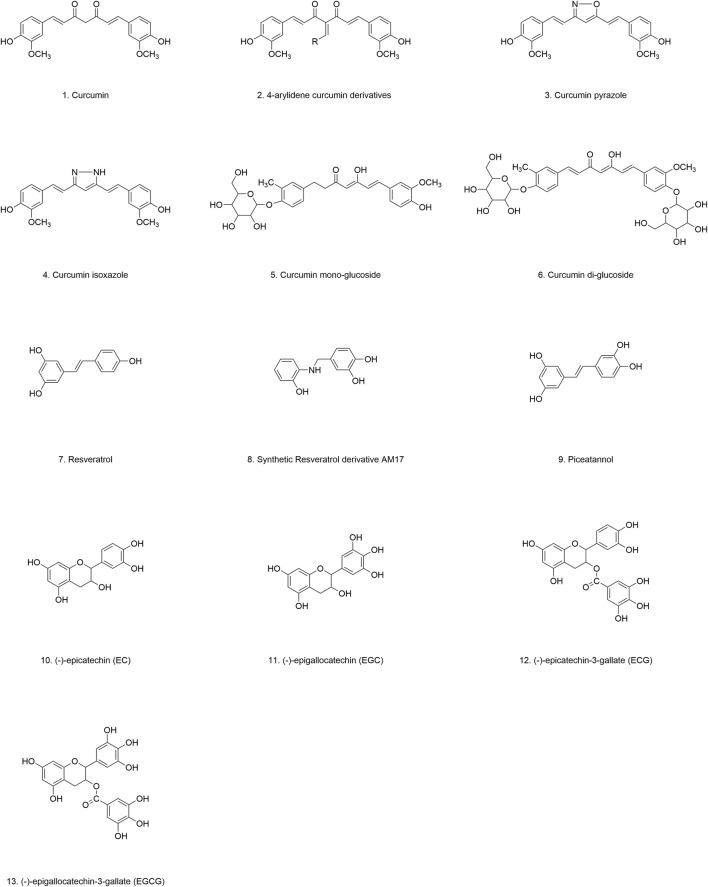 https://cdn.ncbi.nlm.nih.gov/pmc/blobs/1699/11537895/c4ef7b34169e/fphar-15-1468850-g004.jpg