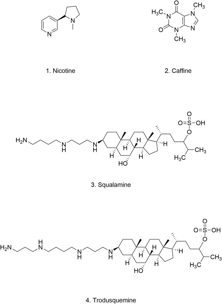 https://cdn.ncbi.nlm.nih.gov/pmc/blobs/1699/11537895/f5e50b810efc/fphar-15-1468850-g009.jpg