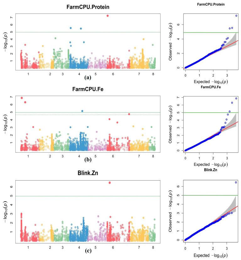 https://cdn.ncbi.nlm.nih.gov/pmc/blobs/1699/9367858/736e47ec6a17/cells-11-02457-g005.jpg