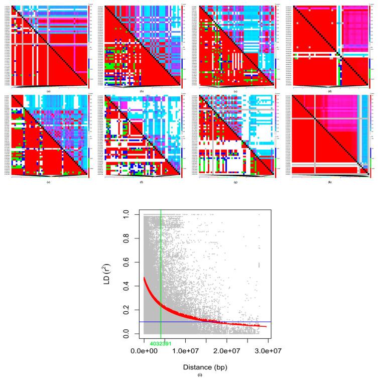 https://cdn.ncbi.nlm.nih.gov/pmc/blobs/1699/9367858/b6031eb67cfb/cells-11-02457-g003.jpg
