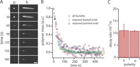 https://cdn.ncbi.nlm.nih.gov/pmc/blobs/169a/2483518/19b0c9ecbdc4/jcb1820341f03.jpg