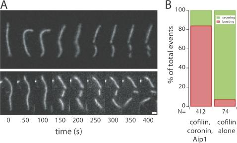 https://cdn.ncbi.nlm.nih.gov/pmc/blobs/169a/2483518/967ee430cee9/jcb1820341f02.jpg