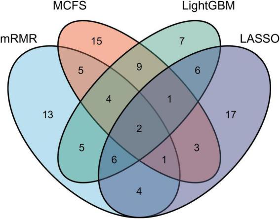 https://cdn.ncbi.nlm.nih.gov/pmc/blobs/169b/9493498/8a8ea586262f/fnmol-15-1007352-g003.jpg