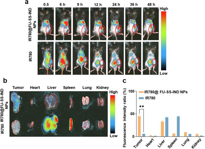 https://cdn.ncbi.nlm.nih.gov/pmc/blobs/169c/11613529/5883d87669e5/12951_2024_3027_Fig6_HTML.jpg