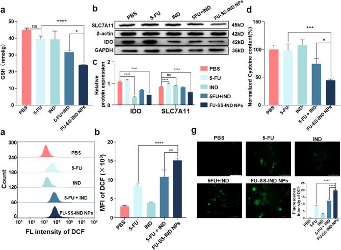 https://cdn.ncbi.nlm.nih.gov/pmc/blobs/169c/11613529/bf2e53df089a/12951_2024_3027_Fig4_HTML.jpg