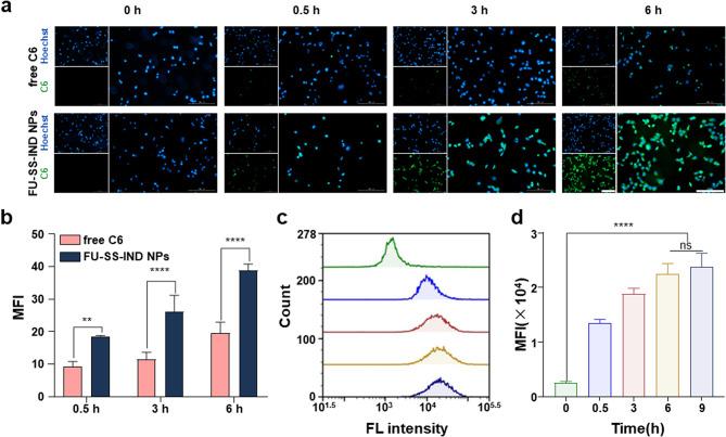 https://cdn.ncbi.nlm.nih.gov/pmc/blobs/169c/11613529/c681a581fc62/12951_2024_3027_Fig2_HTML.jpg