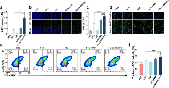 https://cdn.ncbi.nlm.nih.gov/pmc/blobs/169c/11613529/e922741b2f81/12951_2024_3027_Fig5_HTML.jpg