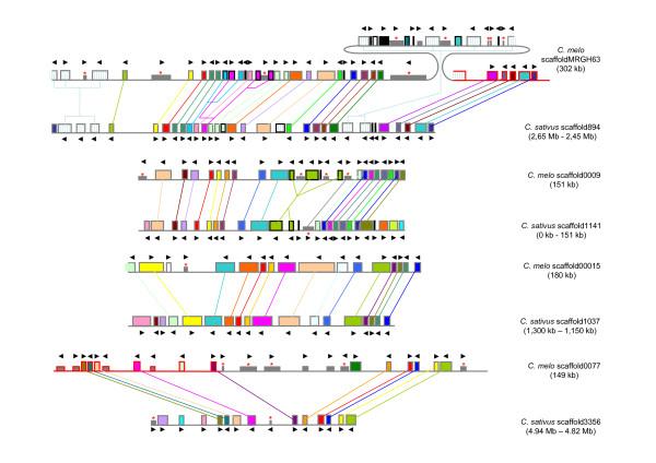 https://cdn.ncbi.nlm.nih.gov/pmc/blobs/169c/3095328/609f10cc32e6/1471-2229-10-246-2.jpg