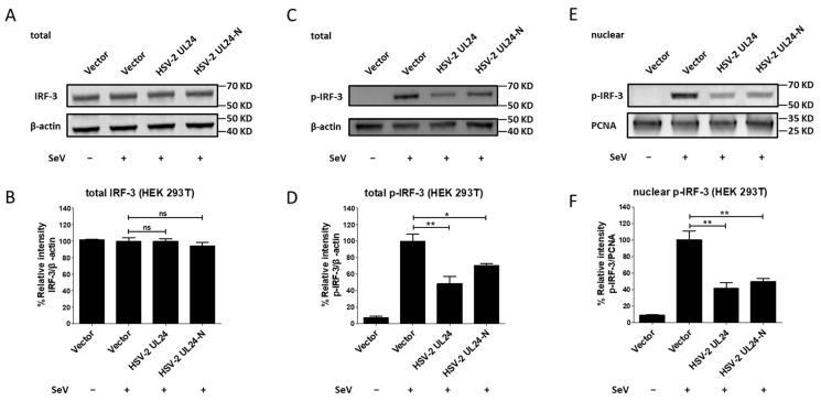 https://cdn.ncbi.nlm.nih.gov/pmc/blobs/169e/11512255/e459de38d051/viruses-16-01601-g005.jpg