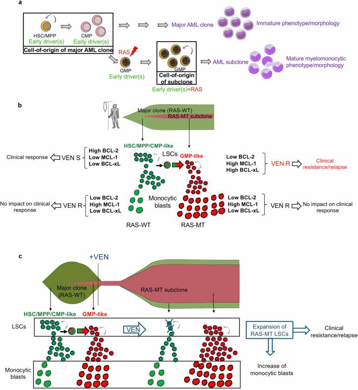 https://cdn.ncbi.nlm.nih.gov/pmc/blobs/169e/11618090/4ab7a6aa1cbd/41586_2024_8137_Fig16_ESM.jpg