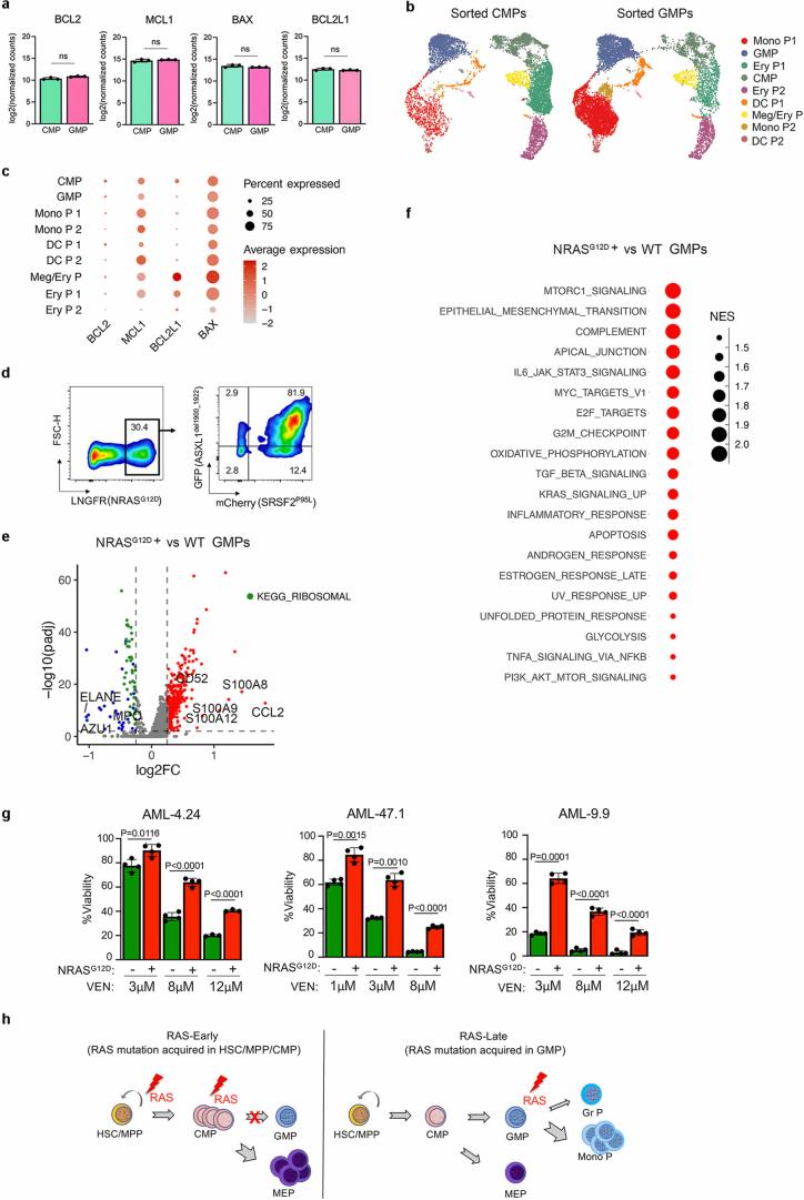 https://cdn.ncbi.nlm.nih.gov/pmc/blobs/169e/11618090/60742dfa0d42/41586_2024_8137_Fig15_ESM.jpg
