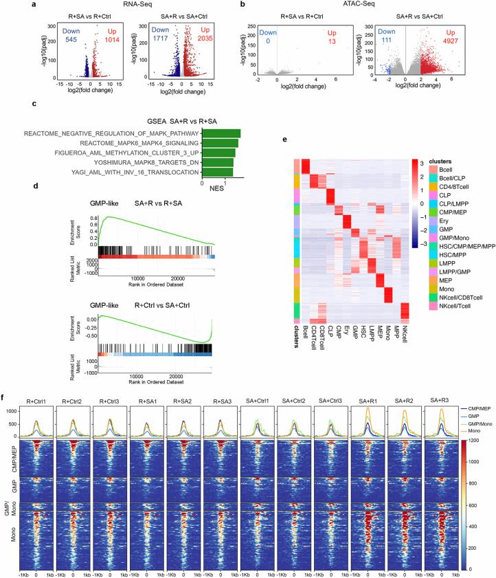 https://cdn.ncbi.nlm.nih.gov/pmc/blobs/169e/11618090/66ea95e62f22/41586_2024_8137_Fig9_ESM.jpg