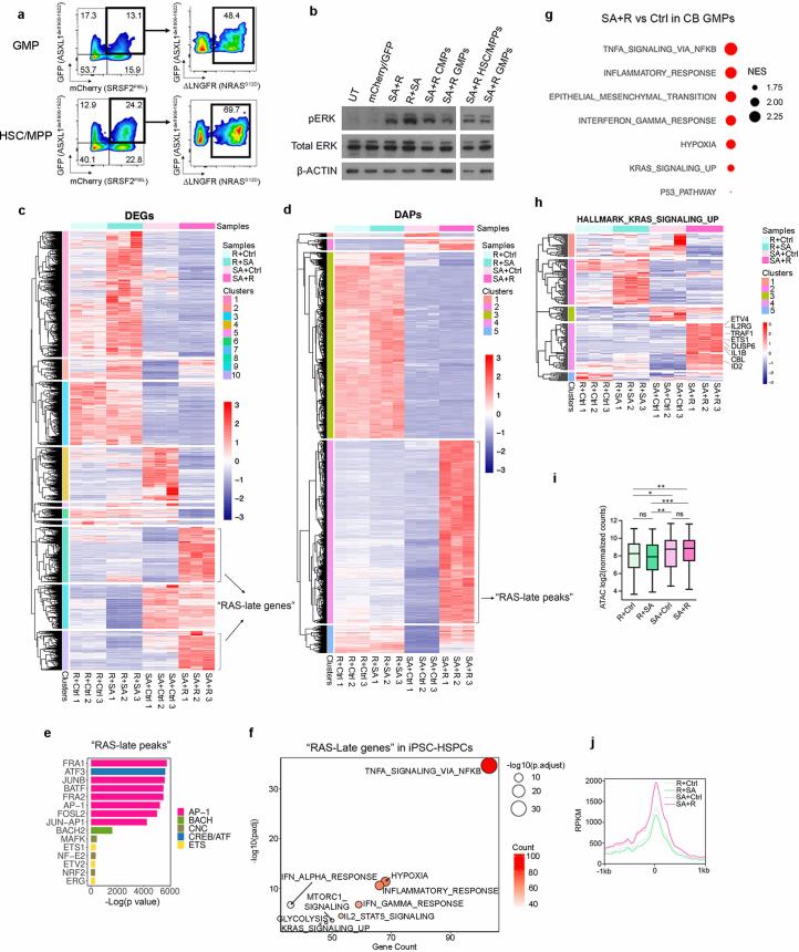 https://cdn.ncbi.nlm.nih.gov/pmc/blobs/169e/11618090/74882f3a9a85/41586_2024_8137_Fig11_ESM.jpg