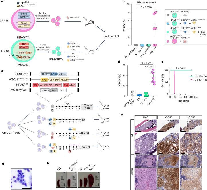 https://cdn.ncbi.nlm.nih.gov/pmc/blobs/169e/11618090/b4d386148c89/41586_2024_8137_Fig1_HTML.jpg