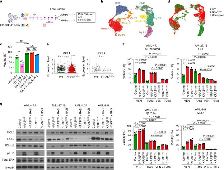 https://cdn.ncbi.nlm.nih.gov/pmc/blobs/169e/11618090/c8a65ec6a8cf/41586_2024_8137_Fig5_HTML.jpg
