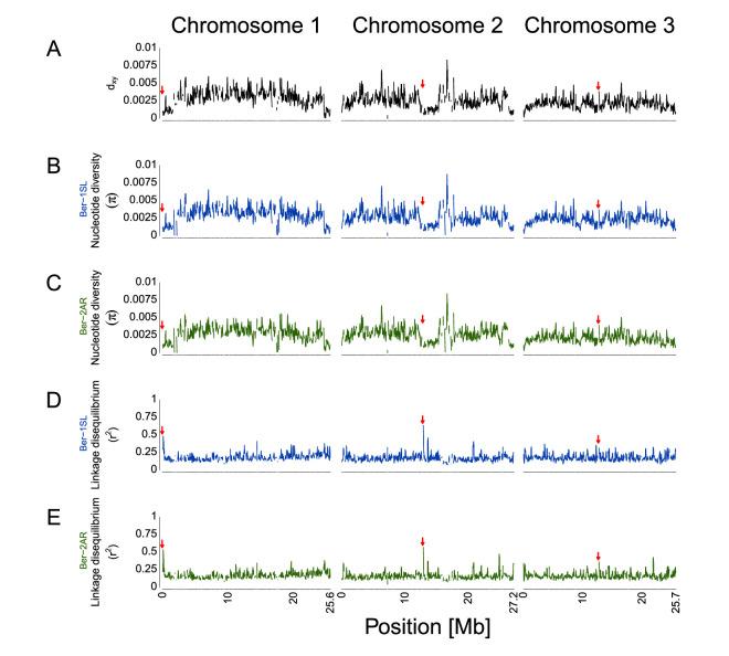 https://cdn.ncbi.nlm.nih.gov/pmc/blobs/169e/9977305/6d4beb7eb3db/elife-82824-fig3-figsupp7.jpg