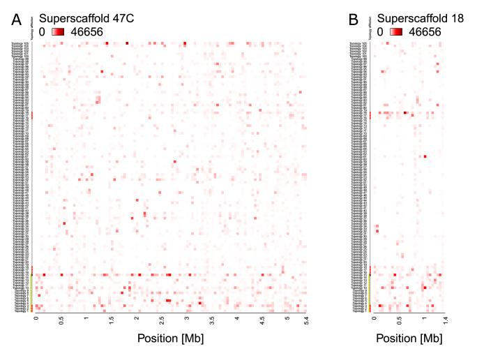 https://cdn.ncbi.nlm.nih.gov/pmc/blobs/169e/9977305/92b07372e126/elife-82824-fig3-figsupp1.jpg