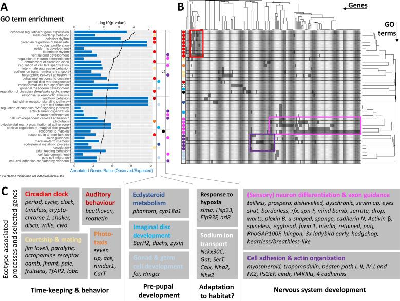 https://cdn.ncbi.nlm.nih.gov/pmc/blobs/169e/9977305/ffec306c4f1e/elife-82824-fig5.jpg