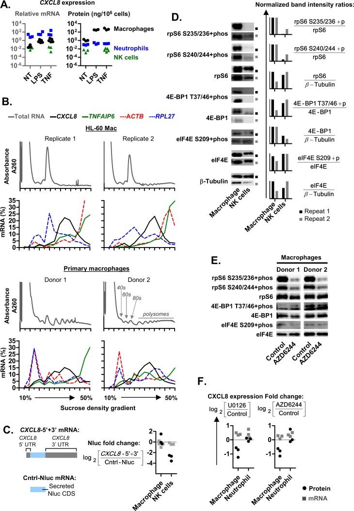 https://cdn.ncbi.nlm.nih.gov/pmc/blobs/16a3/6476525/f74c70292d5b/pgen.1008077.g009.jpg