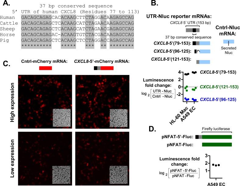 https://cdn.ncbi.nlm.nih.gov/pmc/blobs/16a3/6476525/ff498980c996/pgen.1008077.g003.jpg
